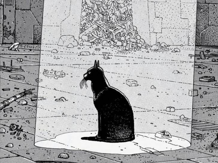 Une image de la bande dessinée  « Les yeux du chat » montrant le chat noir assis dans un faisceau de lumière