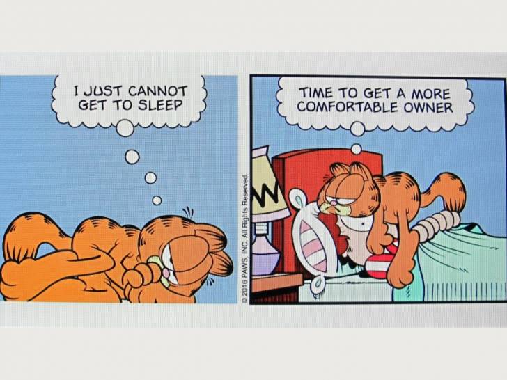 « Garfield », de Jim Davis (1978)