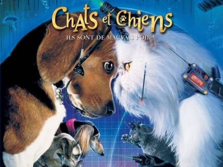 Affiche du film « Comme chiens et chats » montrant le chien et le chat acteurs se faisant face