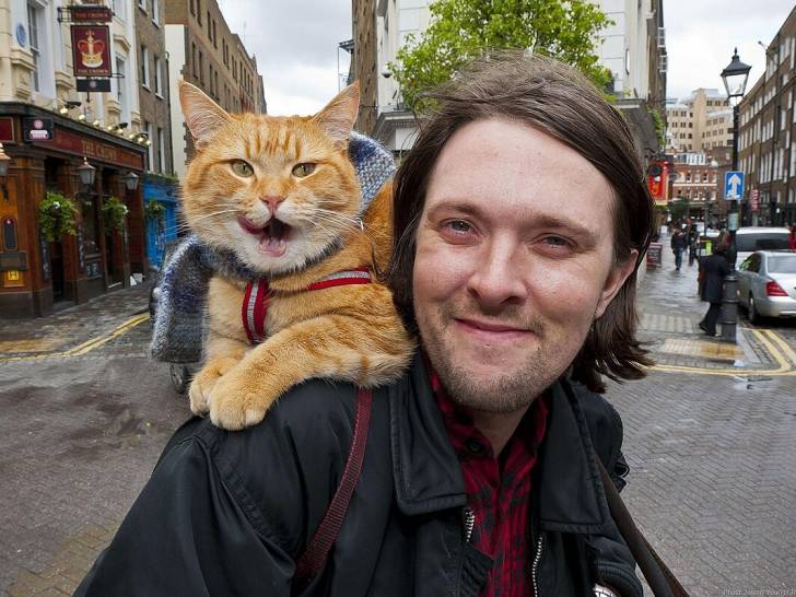 Photo de James Bowen et son chat orange Bob sur ses épaules dans une rue de Londres