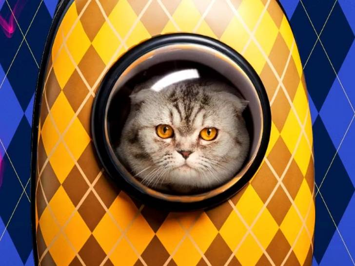 Une scène du film « Argylle » montrant la tête du chat Alfie apparaissant dans le hublot d'un sac à dos