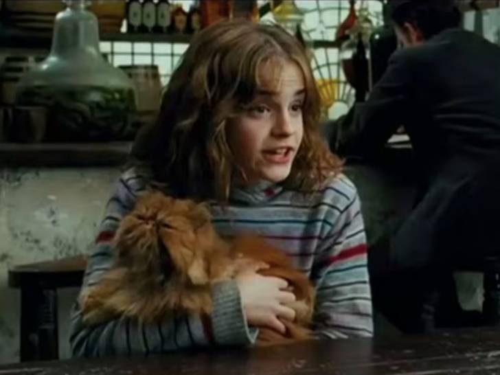 Hermione Granger tenant son chat roux Pattenrond dans ses bras dans le film « Harry Potter »