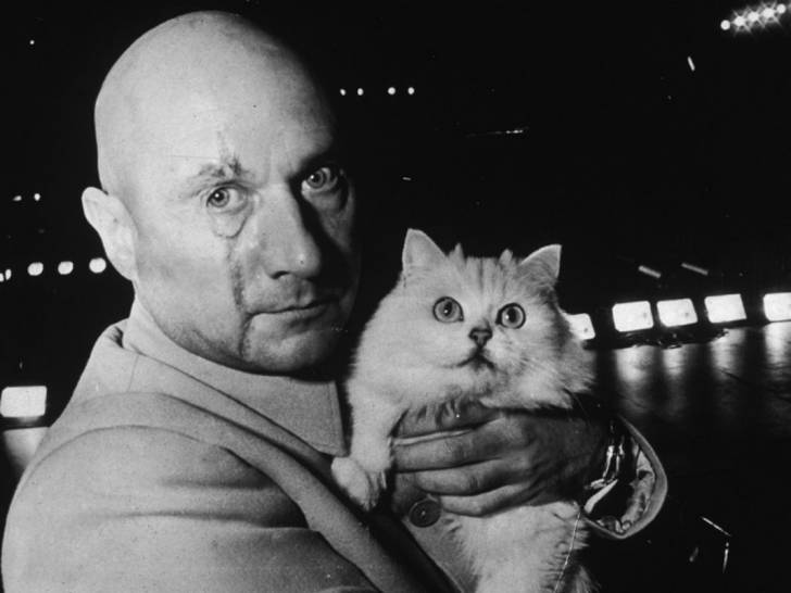 Chat blanc dans les bras de Blofeld dans le film « On ne vit que deux fois »