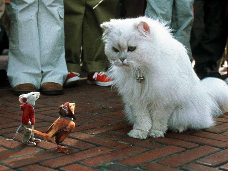 Le chat acteur du film « Stuart Little » qui regarde une souris et un oiseau anthropomorphiques