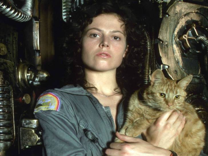 Chat roux dans les bras de l'actrice principale dans le film « Alien »