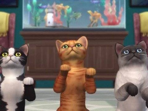 Trois chats dans le jeu « Les Sims : Entre chiens et chats »
