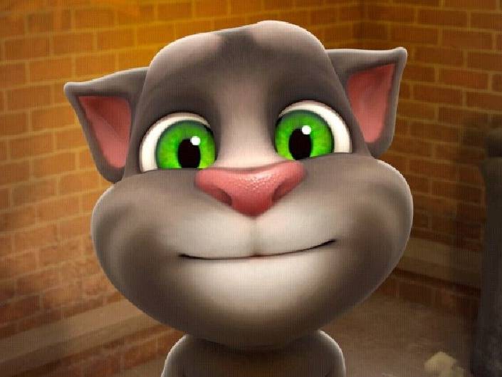 Thomas, le chat du jeu « Talking Tom Cat »
