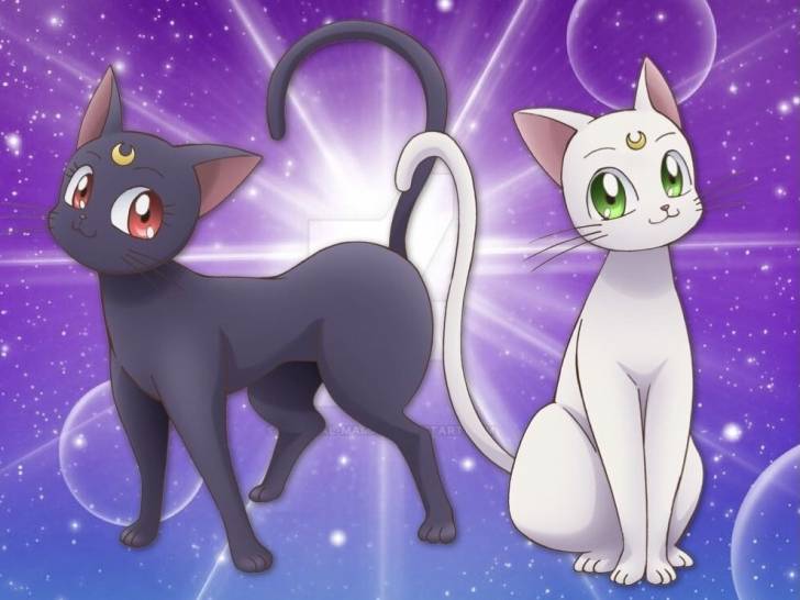 Luna et Artemis, les chats de l'anime « Sailor Moon »