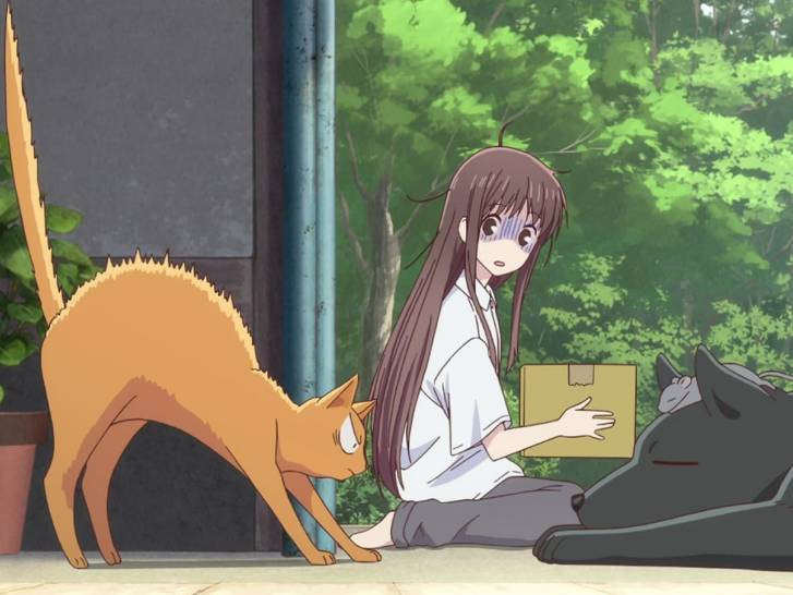 Kyô, le chat roux de l'anime « Fruits Basket »
