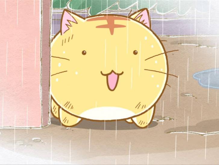 Poyo, le chat roux de l'anime « Poyopoyo Kansatsu Nikki »