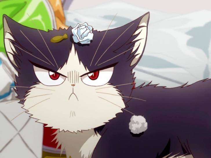 Haru, le chat de l'anime « My Roomate is a cat »