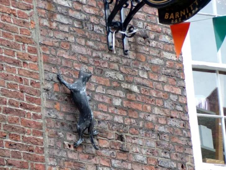 La statue du chat Gus escaladant un mur de briques, dans la ville de York (Royaume-Uni)