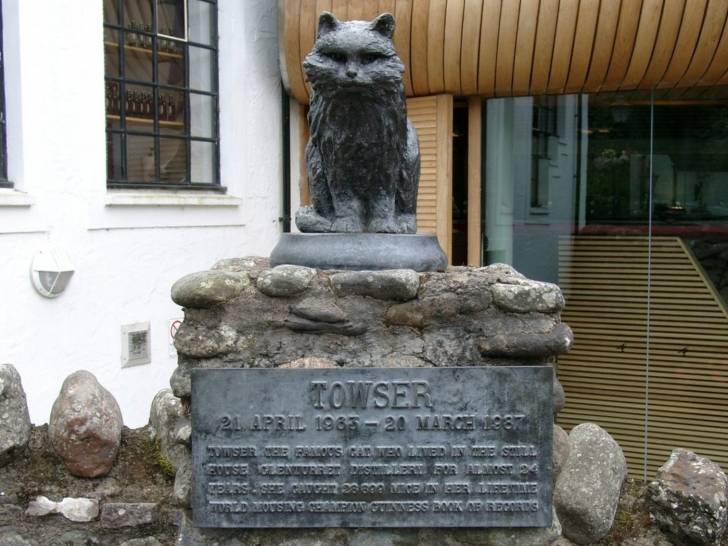 La statue du chat Towser, devant la distillerie de whisky Glenturret en Écosse (Royaume-Uni)