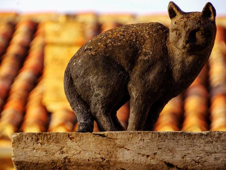Une des statues de chat du village de La Romieu, en France
