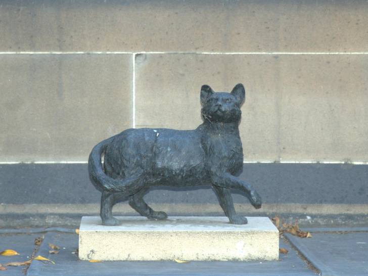 La statue du chat Trim à Sydney (Australie)