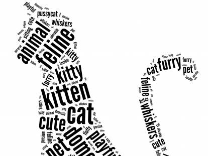 La silhouette d'un chat avec des mots