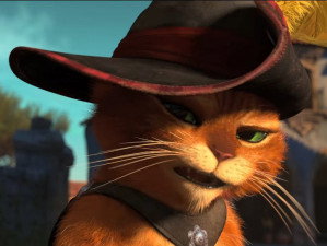 Le Chat Potte 11 Chat Celebre Au Cinema