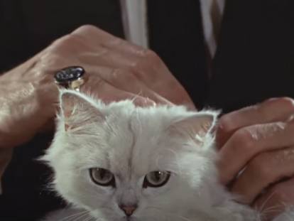 Les chats incarnant l'Angora de Blofeld dans &laquo; James Bond &raquo;
