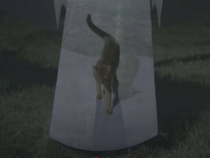 Extrait du film « Le Chat qui vient de l’espace »