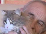 Une chatte sauve son maître de l'incendie