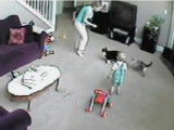 Le chat agresse la babysitter