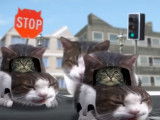 Kitty City : la ville des chats vue par Cyriak