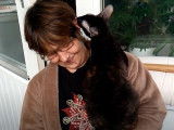 Un Cornish Rex qui câline un humain