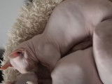 Des chats Elf-Cat qui dorment ensemble