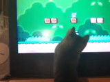 Un chat Aphrodite qui joue au jeu vidéo Mario