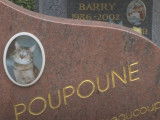 Le cimetière animalier d'Asnières accueille anonymes et célébrités
