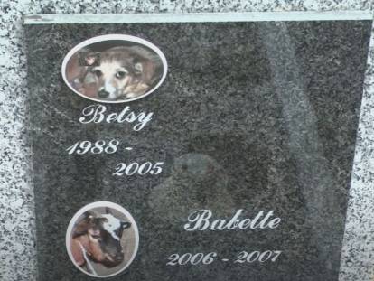 Découverte du cimetière animalier de Liège, en Belgique
