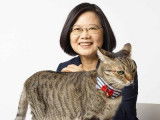 Tsai Ing-wen avec son chat Think Think sur une table devant elle