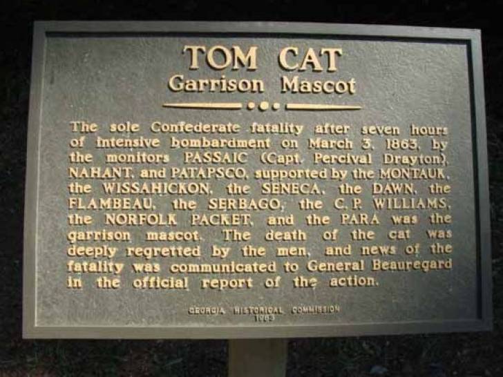 Une stèle en l'honneur du chat Tom Cat au fort McAllister