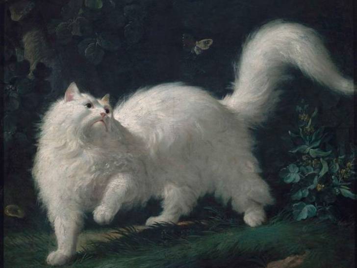 La peinture « Chat angora blanc, guettant un papillon » de Jean-Jacques Bachelier, qui représente le chat du roi Louis XV