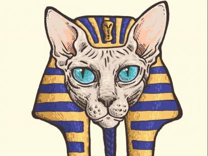 La tête d'un chat Sphynx aux yeux bleus portant une coiffe traditionnelle égyptienne.