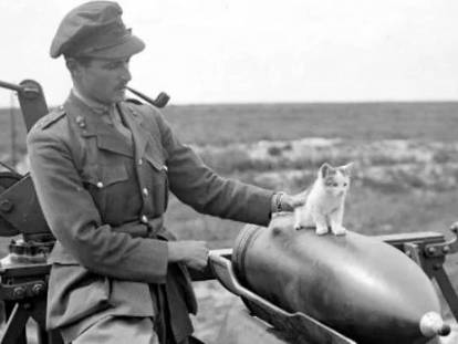 Un officier observe un chaton en équilibre sur un obus en 1918
