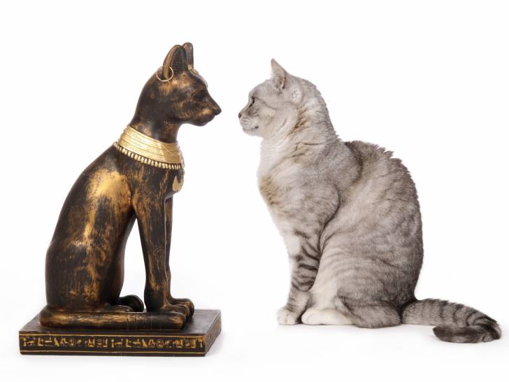 Le Chat Dans L Histoire En Egypte Antique