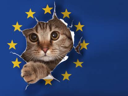 Les 10 pays d'Europe qui comptent le plus de chats