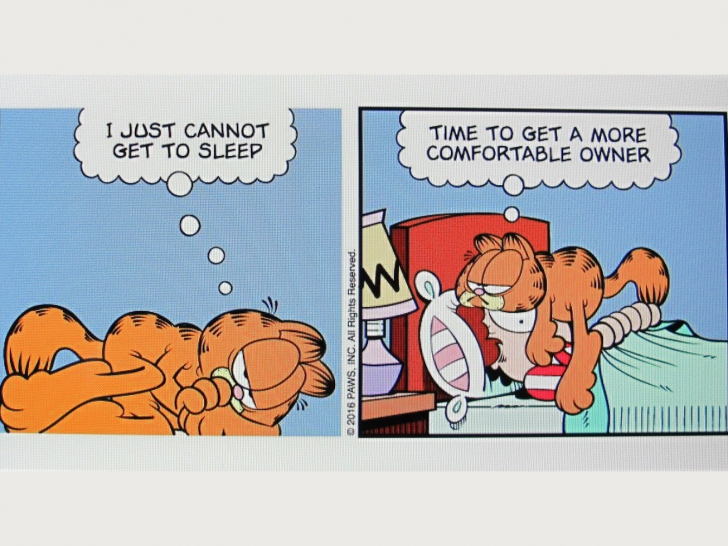 Garfield De Jim Davis 1978