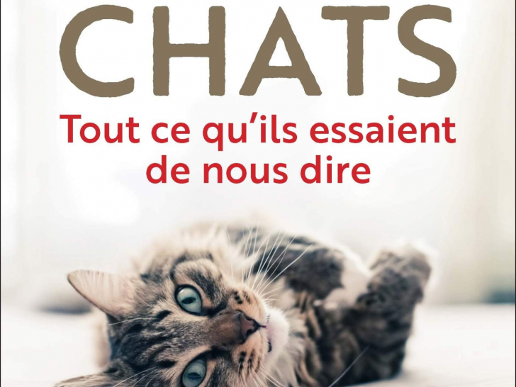 Chats Tout Ce Qu Ils Essaient De Nous Dire Laetitia Barlerin 18