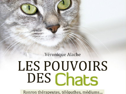 Les Pouvoirs Des Chats Veronique Aiache 16