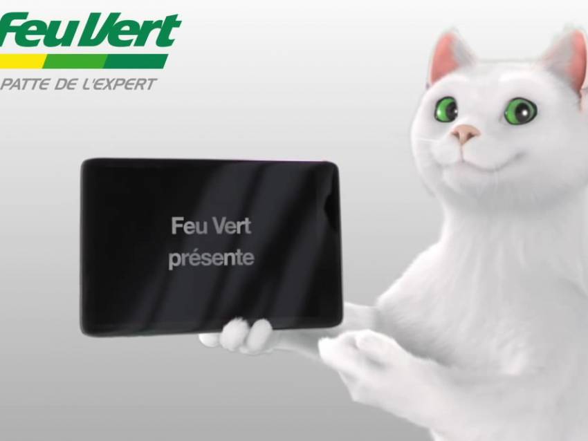 Publicite Pour Feu Vert Avec Le Chat Ramses 13 Video