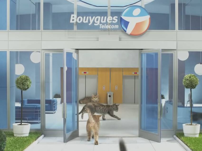 Publicite Pour Bouygues Telecom Avec Des Chats 11 Video
