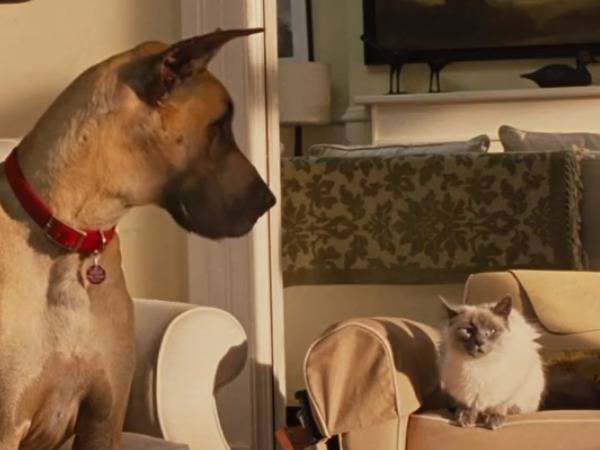 Extrait Du Film Marmaduke 10 Le Depart Pour La Californie Video