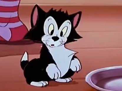 Une image de dessins animés avec un chat noir et blanc