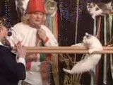 Le théâtre des chats de Iouri Kouklatchev