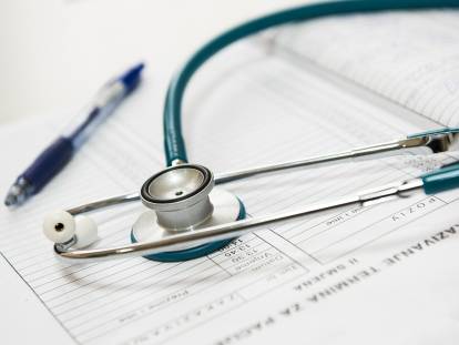 Devenir auxiliaire vétérinaire : qualités requises et formations