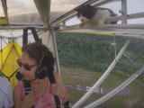 Un chat monte dans un ULM et fait malgré lui un baptême de l'air