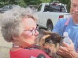 Une petite ville américaine élit un chat comme nouveau maire