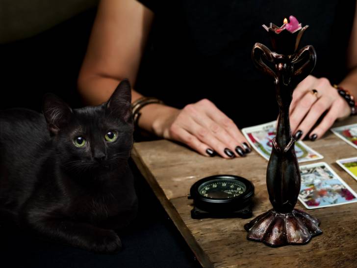 Une voyante interprétant un jeu de tarot à côté de son chat noir